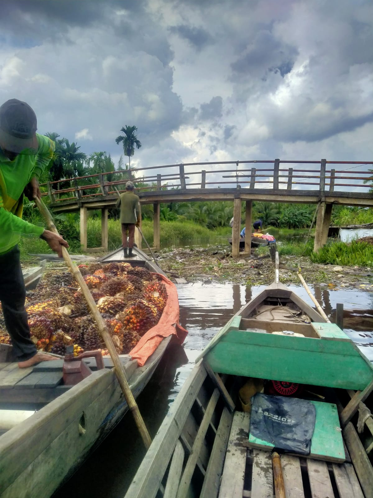 Harga Sawit Ambrol, Anak Petani Khawatir tak Bisa Bayar SPP