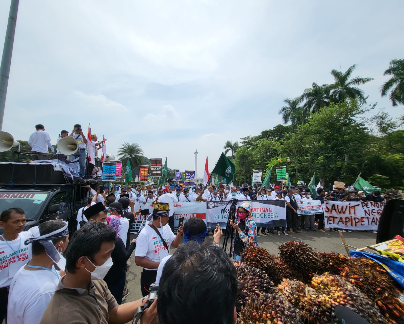 14 Petani Unjuk Rasa ke Jakarta, Berharap Larangan Ekspor Sirna