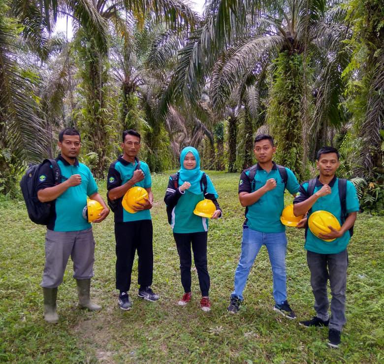 Ini Penyebab Banyaknya Petani Sawit Tak Bisa Ikut ISPO