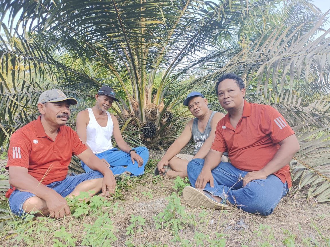 Sawit Cuma Dihargai Rp700/Kg, Petani: Pemda Jangan Diam Saja, Cari Solusi Lah