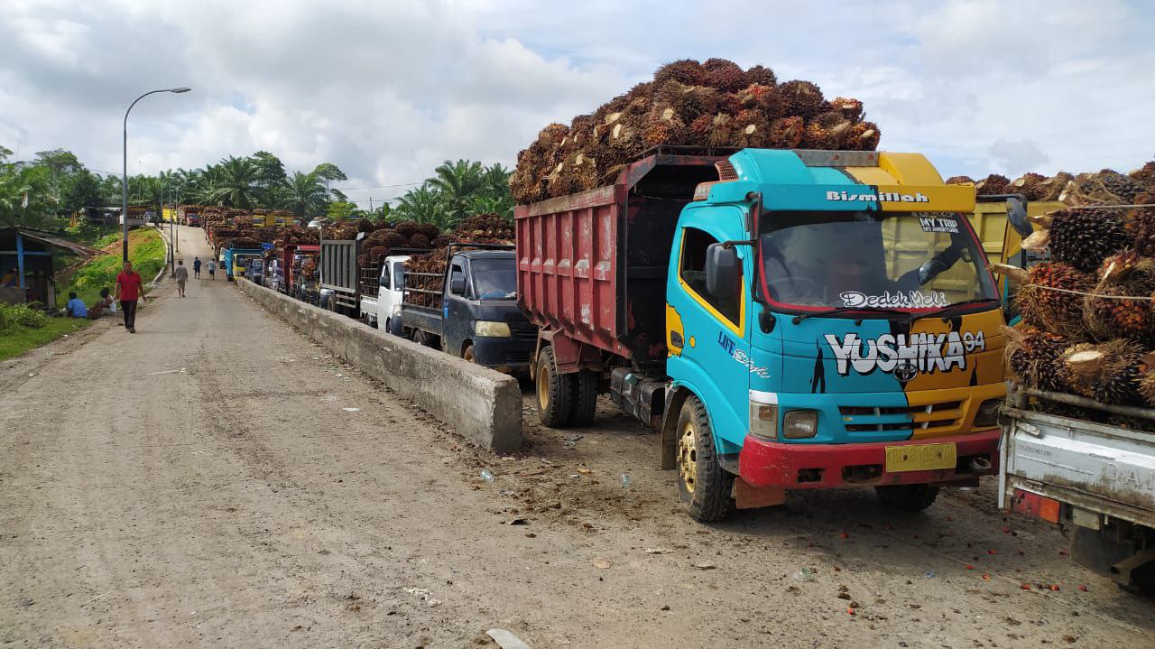 Harga Sawit di Mukomuko Belum Bergerak