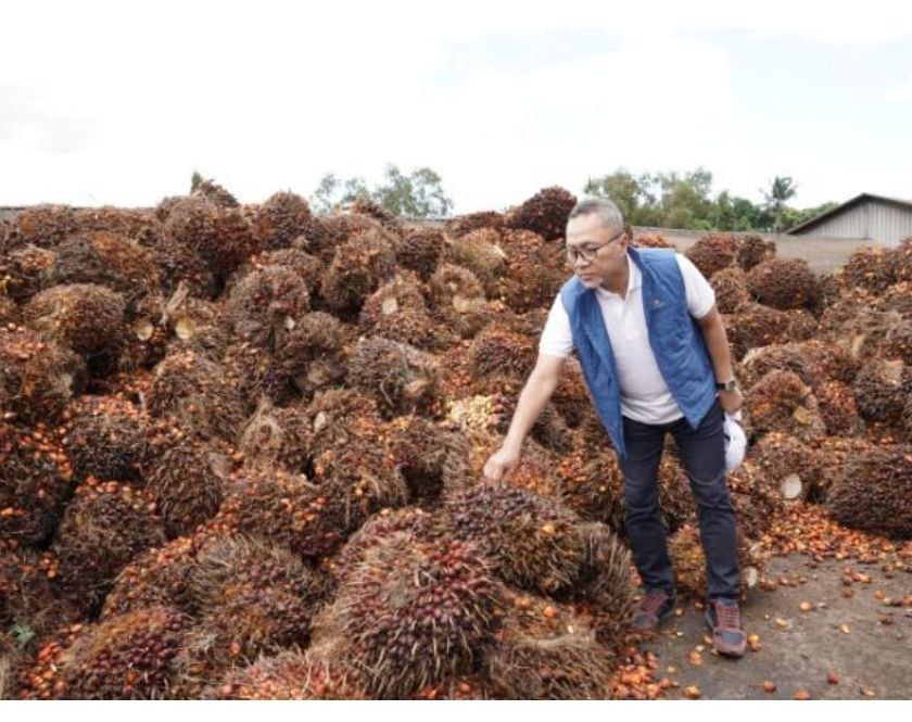 Petani Keluhkan Harga TBS, Mendag: Kita Sudah Minta Pabrik Beli Minimal Harga Rp1.600/Kg