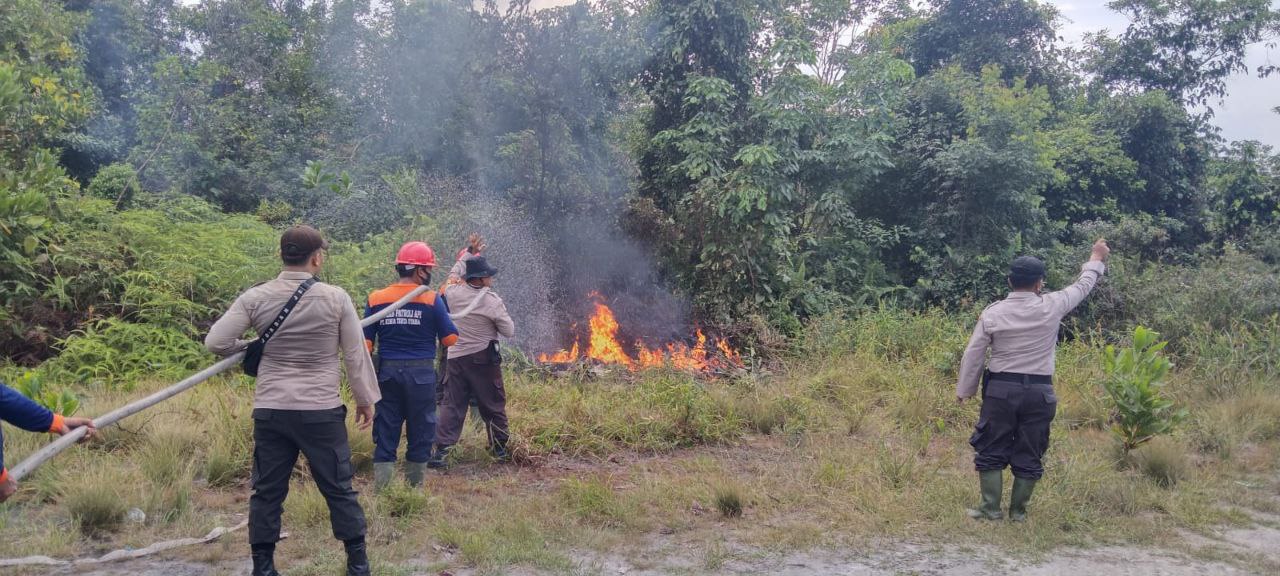 Mencegah Karhutla Sejak Dini Melalui Simulasi