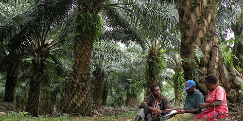 Pemda Diminta Tegas Meski Perusahaan Tengah Menempuh Jalur Hukum