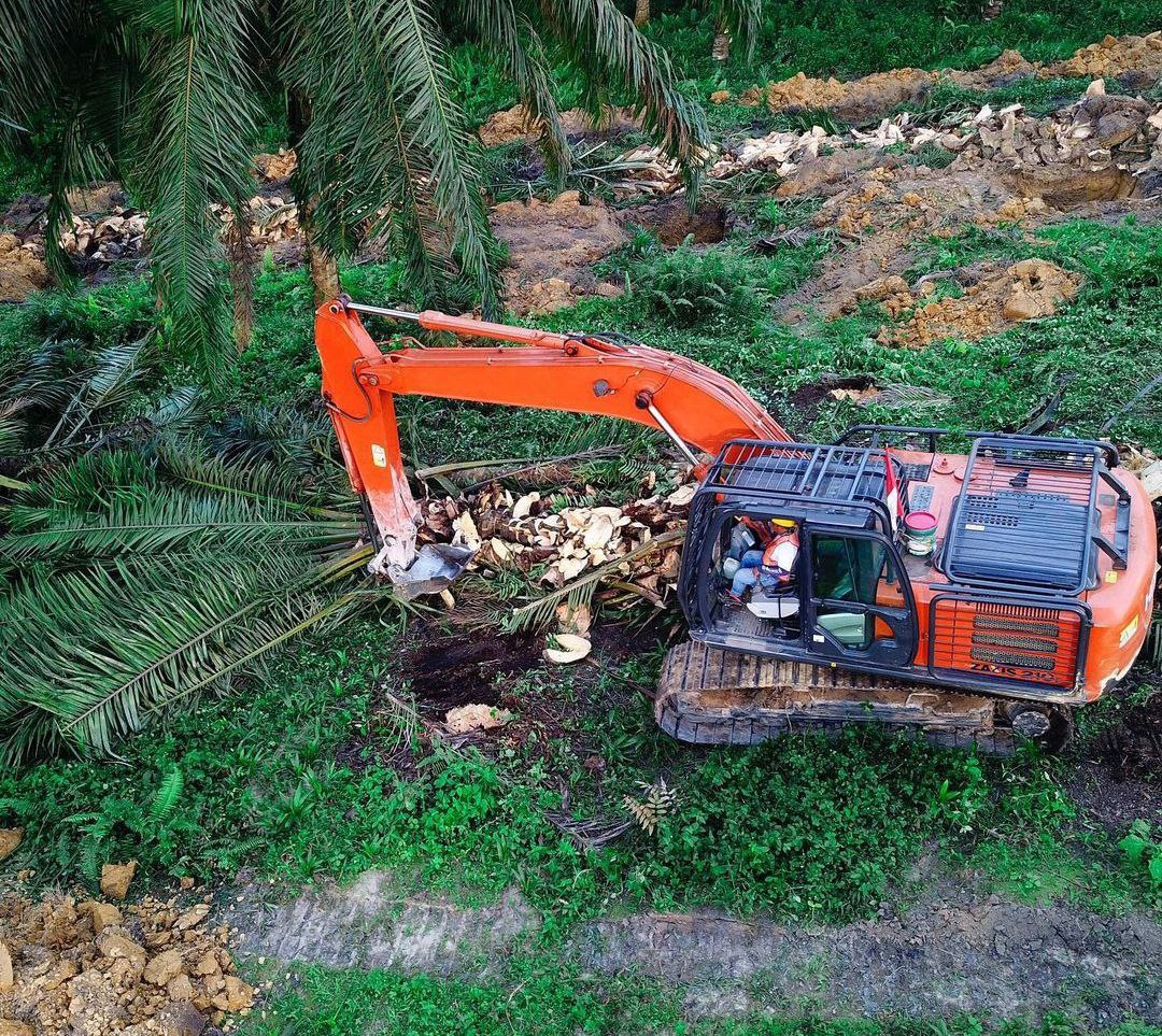 Pusat Kucurkan Dana Replanting Rp330 Miliar Untuk Petani Riau