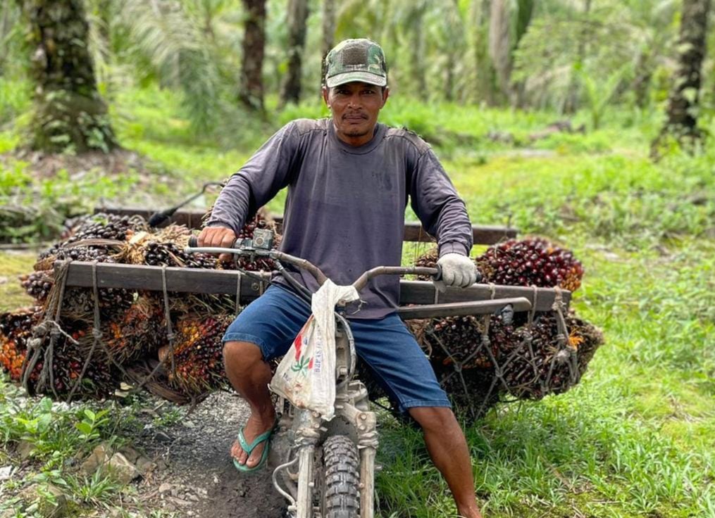 Pemerintah Harus Sikat 