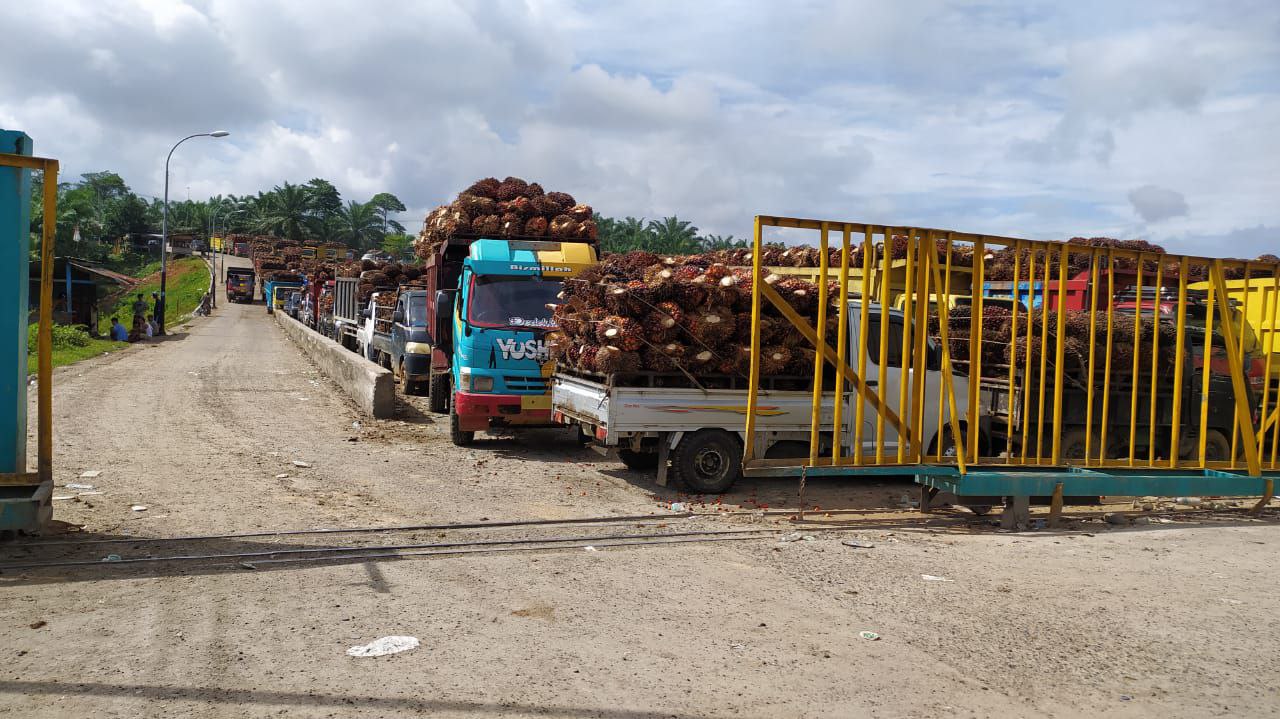 Bank BRI Cabang Manna Tak Pusing Harga Sawit Anjlok