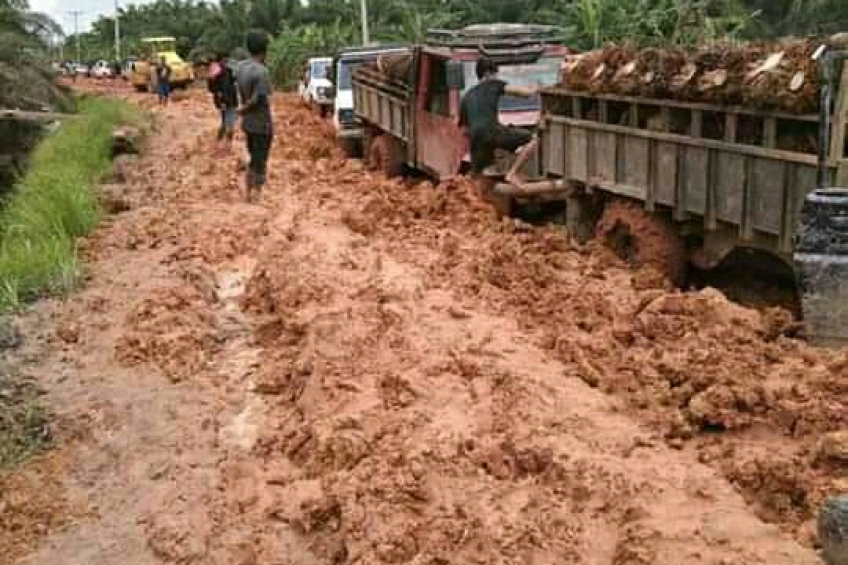 Antara Biodiesel  dan Slogan Pemilu Jadul 