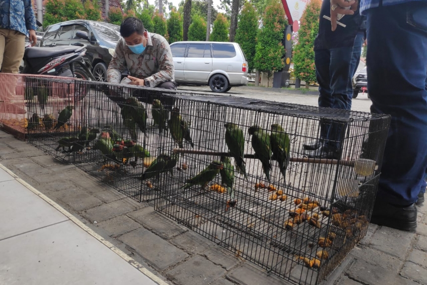 3,6 Kilo Sabu di Pekanbaru Diaduk dengan Cairan Pembersih Lantai