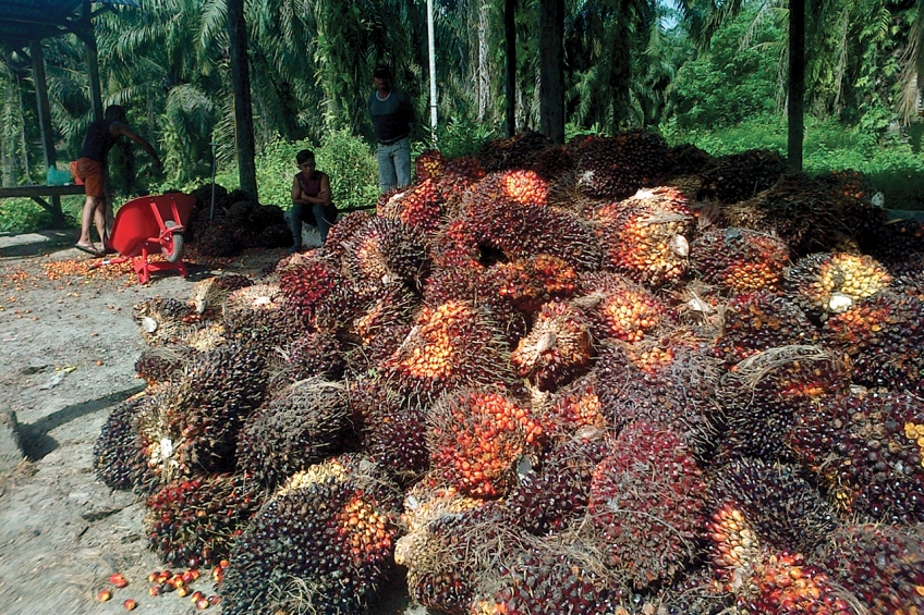 Menabu Gong Energi Terbarukan