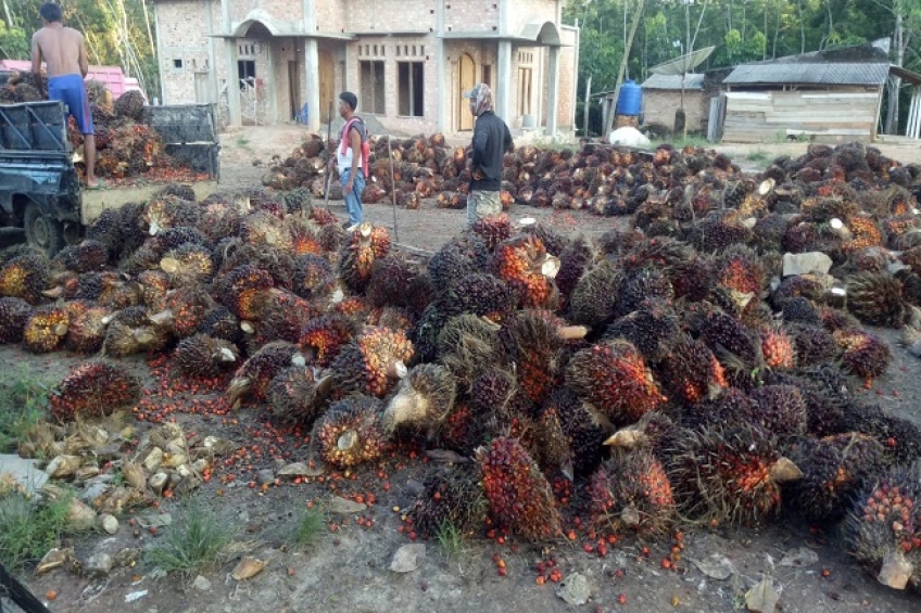 NTP Riau Tertinggi di Sumatera, Ini Penyebabnya 