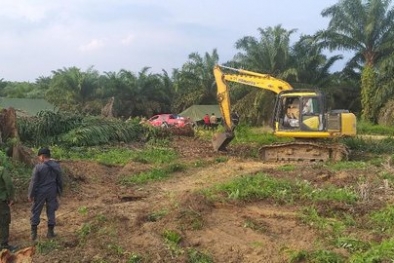 Terkait Petani Gondai, Aliansi BEM se-Riau Ingatkan Soal Kehutanan