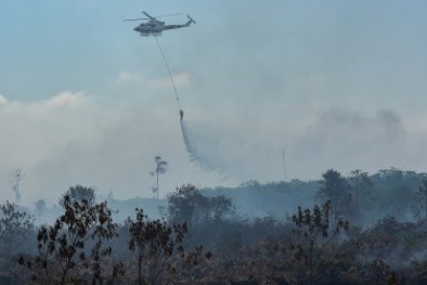 BPBD Riau Ajukan Tiga Helikopter Penanganan Karhutla