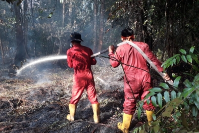 KTU Bikin Desa Siaga Api Untuk Cegah Karhutla