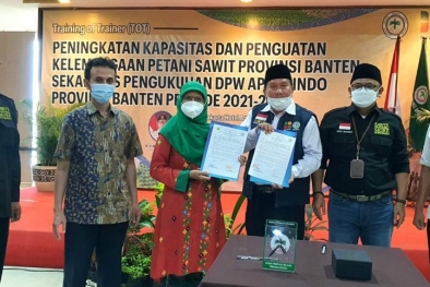 Cerita Miris Sawit Petani Banten