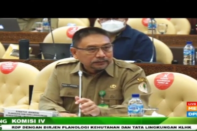 Ini 4 Besar Provinsi Sawit Dalam Klaim Kawasan Hutan, Riau Nomor 1