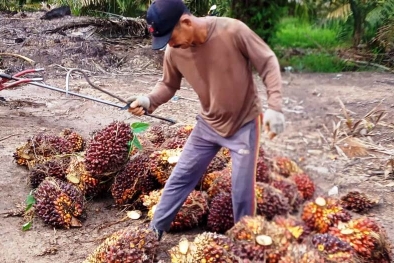 Pesta Pora di Bulan Maret