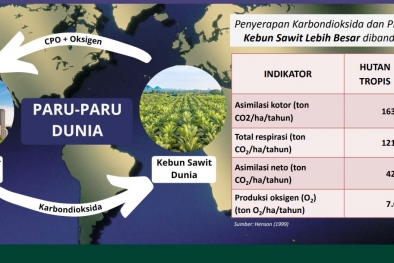 167 Juta Hektar Lagi Hutan Akan Binasa