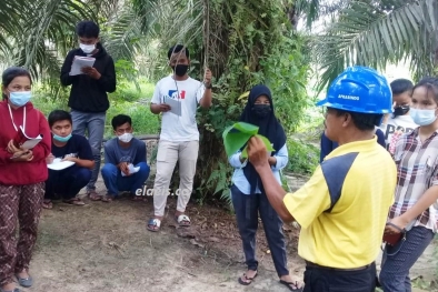 Melongok Geliat Petani Sawit Milenial di Kandis