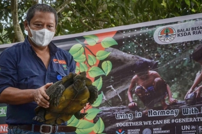 Puluhan Satwa Liar di Riau Akhirnya Bebas dari Belenggu