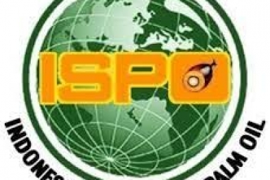 Sudah 755 Kebun Sawit Kantongi Sertifikat ISPO