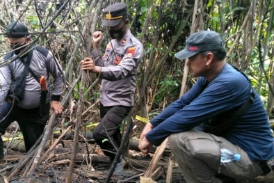 Ditemukan Tulang Gajah Betina, Diduga Diracun