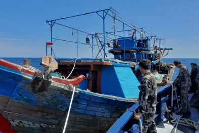 Kapal Pukat Harimau di Rohil Ditangkap, 84 ABK dan 19 Ton Ikan Diamankan