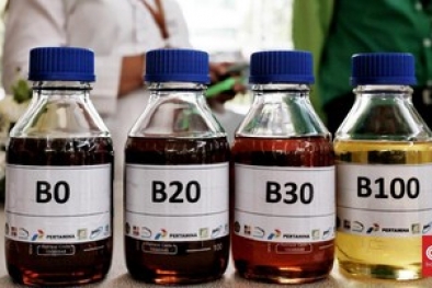 Tak Murah, Harga B100 Ternyata Bisa Sampai Rp15.000/liter