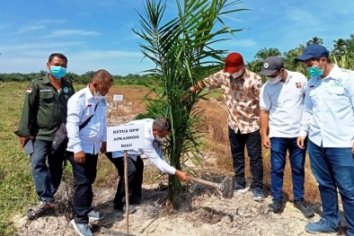 Apkasindo Dumai: Kami Optimis PSR 1000 Hektar