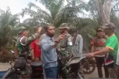 Bersitegang dengan POM TNI AL, 6 Preman Penjaga Kebun Sawit Diamankan