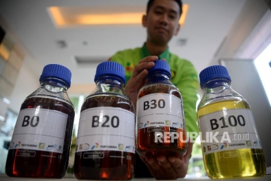 Denda Penyaluran Biodiesel Rp 1,2 T Belum Disetor ke Kas Negara