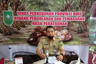 Harga Sawit di Riau Naik Sedikit Jadi Rp 2.084 Perkilogram