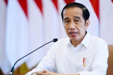 Jokowi Gemetar Lihat BOR Wisma Atlet Terisi 92 Persen