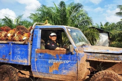 Ketum DPP Apkasindo: Urusan Beasiswa Sawit Jangan Banyak Cengkunek lah!