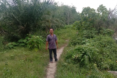 Lebih Murah, Tapi Banyak Petani Bergantung ke Pengepul dan Ram