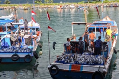 Perekonomian di Pelabuhan Perikanan Menggeliat di Masa Pandemi