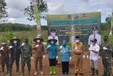 Ditandai Tanam Perdana, Replanting Sawit Dimulai