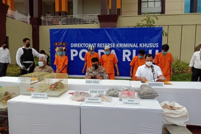 Jual Organ Satwa Dilindungi, Pemuda Kampar Dibekuk Polda Riau