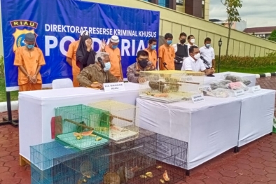 Polisi Sita 5 Paruh Burung dan Satu Kuku Harimau