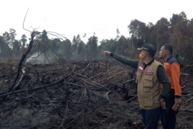 Hutan Lindung Bukit Suligi Riau Terbakar, 3 Orang Diamankan