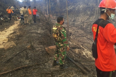 Satgas Karhutla Riau Turunkan Bom Air 50 Kali di Hutan Bukit Suligi