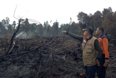 BPBD Riau Sebut Karhutla Masih Dominan Terjadi di Rohul