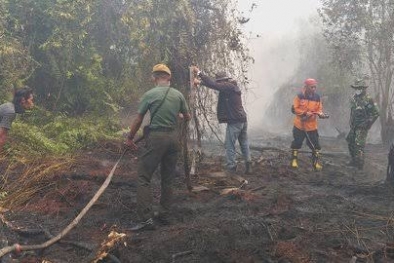 BMKG Deteksi 70 Titik Panas di Riau, Tersebar di 9 Kabupaten