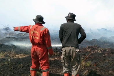 Angin Kencang dan Ilalang Kering Sulitkan Pemadaman Karhutla di Rohil