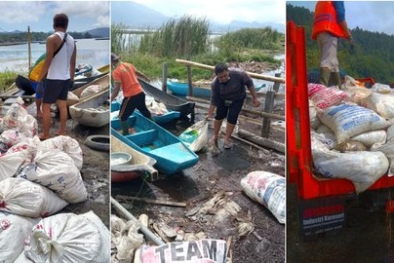 Sekitar 70 Ton Ikan Mati Gegara Semburan Belerang