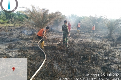 Terbakar, Kebun Sawit Petani Berhasil Dipadamkan