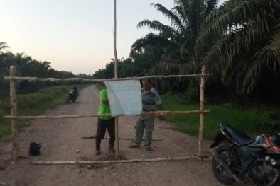 Konflik Memanas, Perusahaan Laporkan Petani Plasma ke Polisi