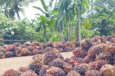 SAMADE Harus Jadi Pelopor Mewujudkan Kemandirian Petani