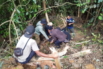 BBKSDA Riau Lepasliarkan Beruang Madu