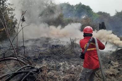 Karhutla di Siak Berkurang, Tiga Bulan 2 Hektare Kebun Sawit Terbakar